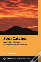Capa do artigo Soul Catcher