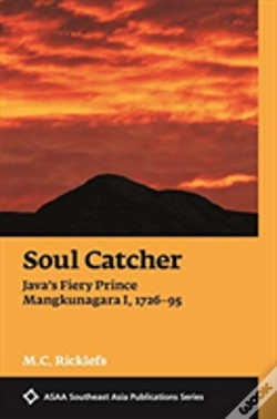Capa do artigo Soul Catcher
