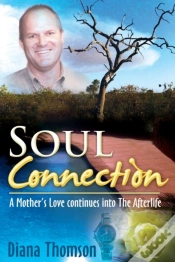 Capa do artigo Soul Connection