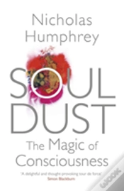 Capa do artigo Soul Dust