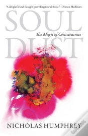 Capa do artigo Soul Dust
