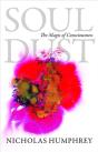 Soul Dust - Preview