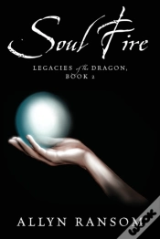 Capa do artigo Soul Fire