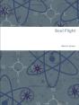 Soul Flight - Preview