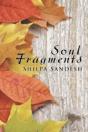 Soul Fragments - Preview