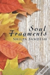 Capa do artigo Soul Fragments