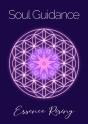 Soul Guidance - Preview