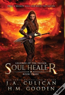 Capa do artigo Soul Healer