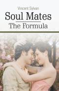 Soul Mates - The Formula
