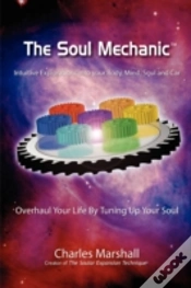Capa do artigo Soul Mechanic