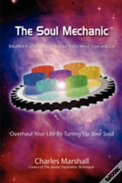 Capa do artigo Soul Mechanic