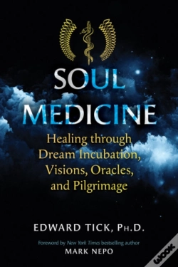 Capa do artigo Soul Medicine