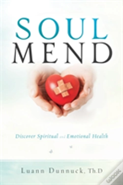 Capa do artigo Soul Mend