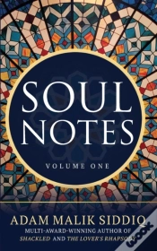 Capa do artigo Soul Notes