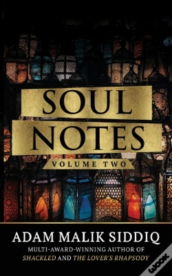 Capa do artigo Soul Notes