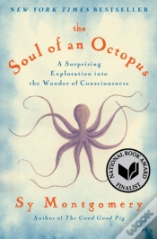 Capa do artigo Soul Of An Octopus