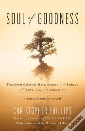 Capa do artigo Soul Of Goodness
