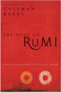 Soul Of Rumi - Preview