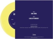 Capa do artigo Soul Rebel - Vinil