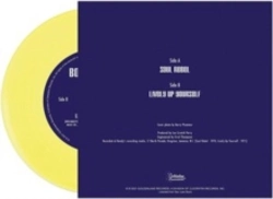 Capa do artigo Soul Rebel - Vinil