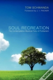 Capa do artigo Soul Recreation