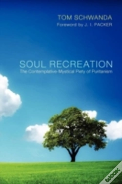 Capa do artigo Soul Recreation