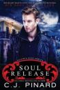 Soul Release - Preview