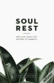 Capa do artigo Soul Rest