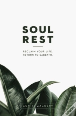 Capa do artigo Soul Rest