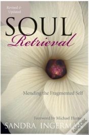 Capa do artigo Soul Retrieval