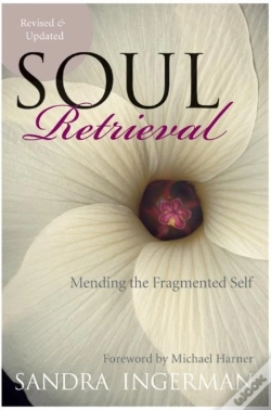 Capa do artigo Soul Retrieval