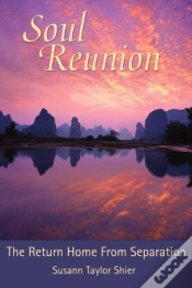 Capa do artigo Soul Reunion