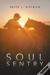 Capa do artigo Soul Sentry
