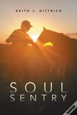 Capa do artigo Soul Sentry