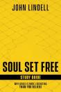 Soul Set Free Study Guide - Preview