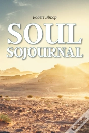 Capa do artigo Soul Sojournal
