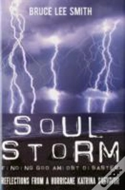 Capa do artigo Soul Storm