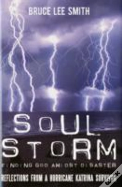 Capa do artigo Soul Storm