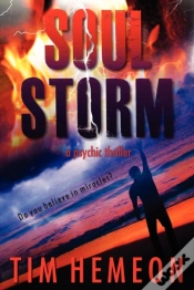 Capa do artigo Soul Storm