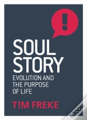 Capa do artigo Soul Story