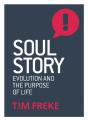 Soul Story - Preview