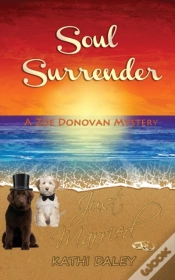 Capa do artigo Soul Surrender