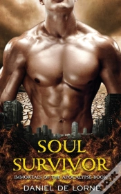 Capa do artigo Soul Survivor