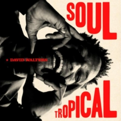 Capa do artigo Soul Tropical - CD