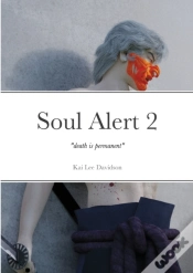Capa do artigo Soulalert2