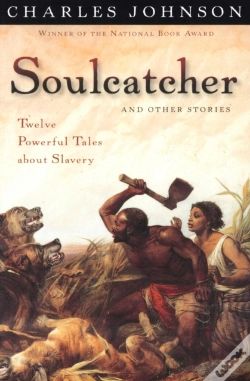 Capa do artigo Soulcatcher