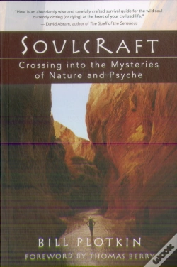 Capa do artigo Soulcraft