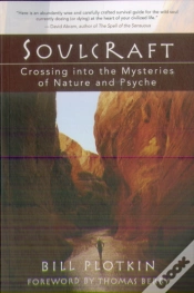 Capa do artigo Soulcraft