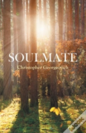 Capa do artigo Soulmate