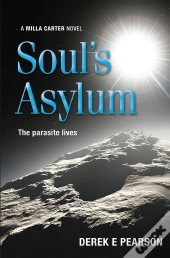 Soul'S Asylum